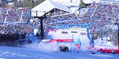 Women's FIS World Cup